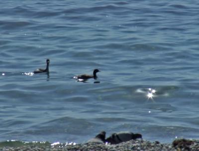 Прикрепленное изображение: DSCF7787.jpg